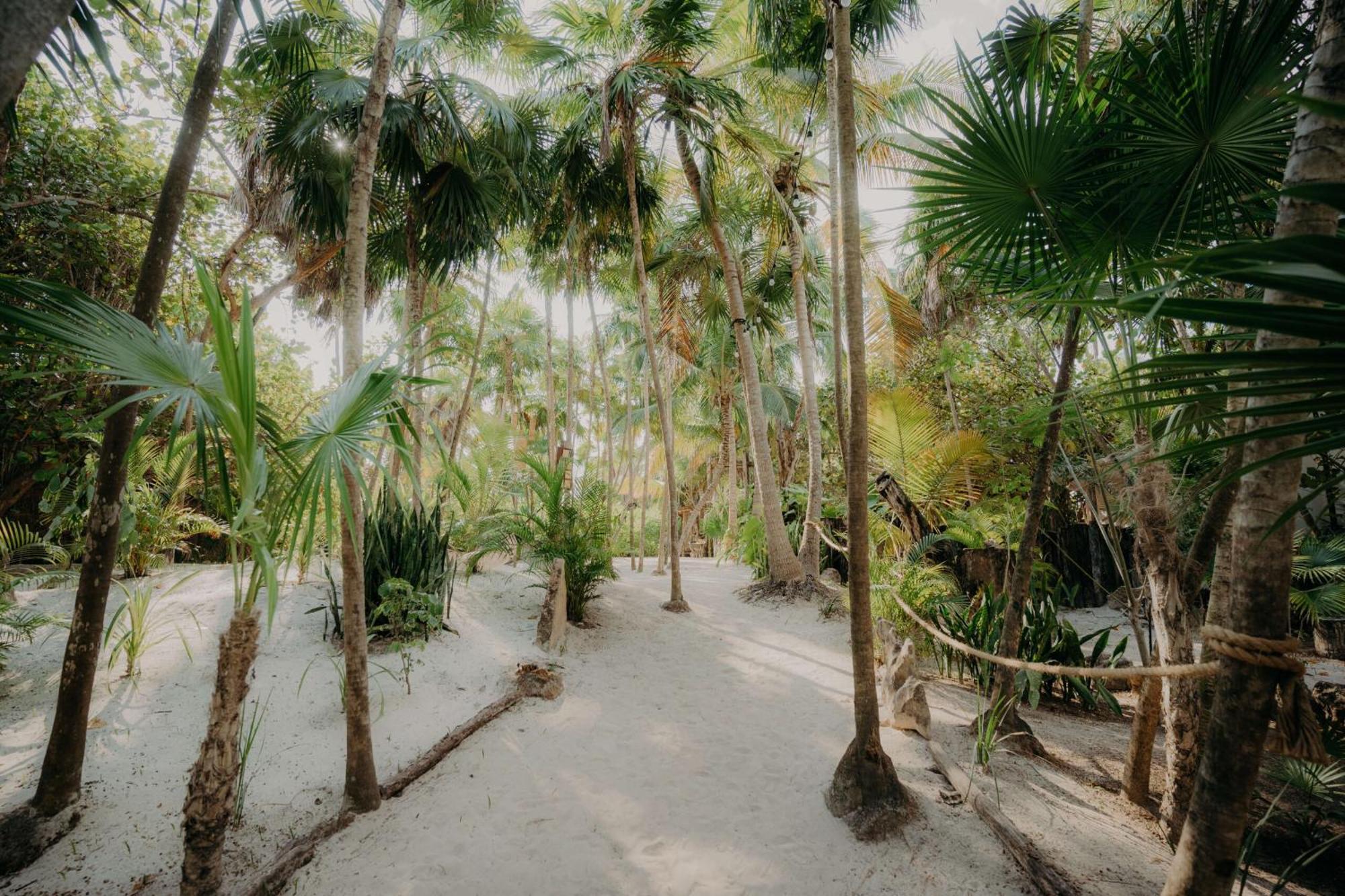 Apartamento Luxury Penthouse With Private Pool In Aldea Zama Tulum Exterior foto